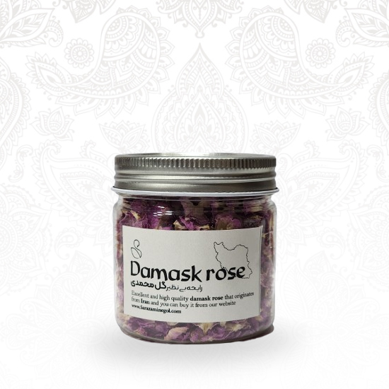 Damask rose